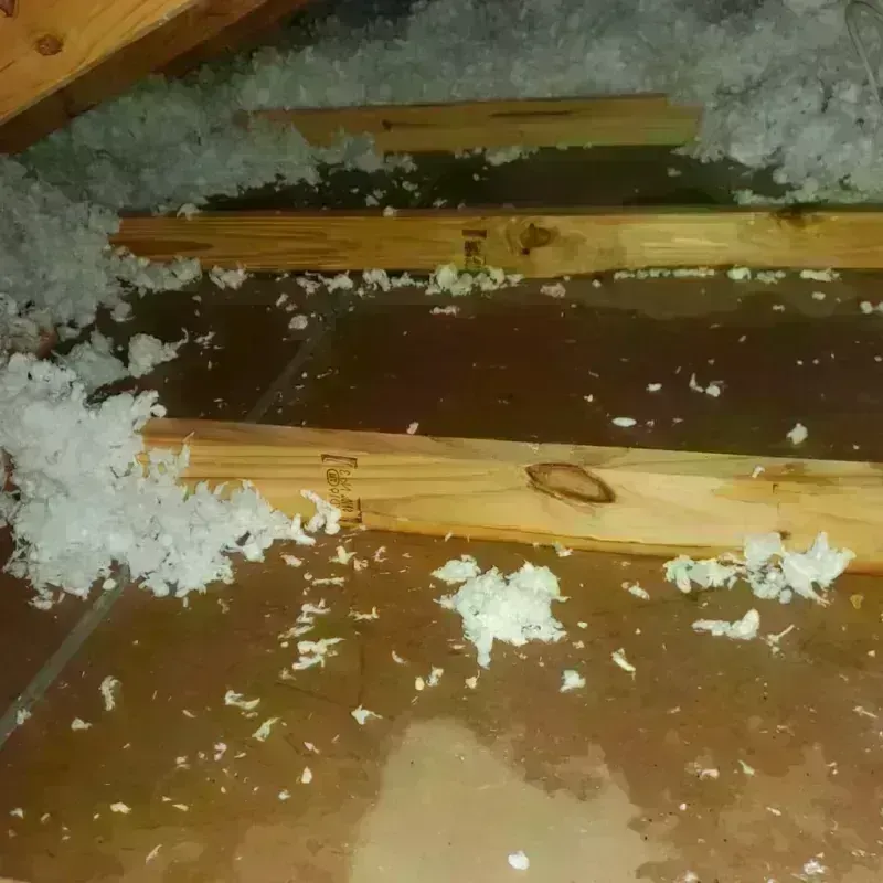 Attic Water Damage in Lakes by the Bay, FL