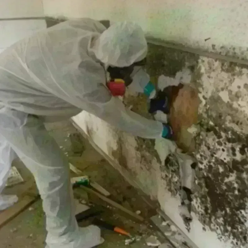 Mold Remediation and Removal in Lakes by the Bay, FL