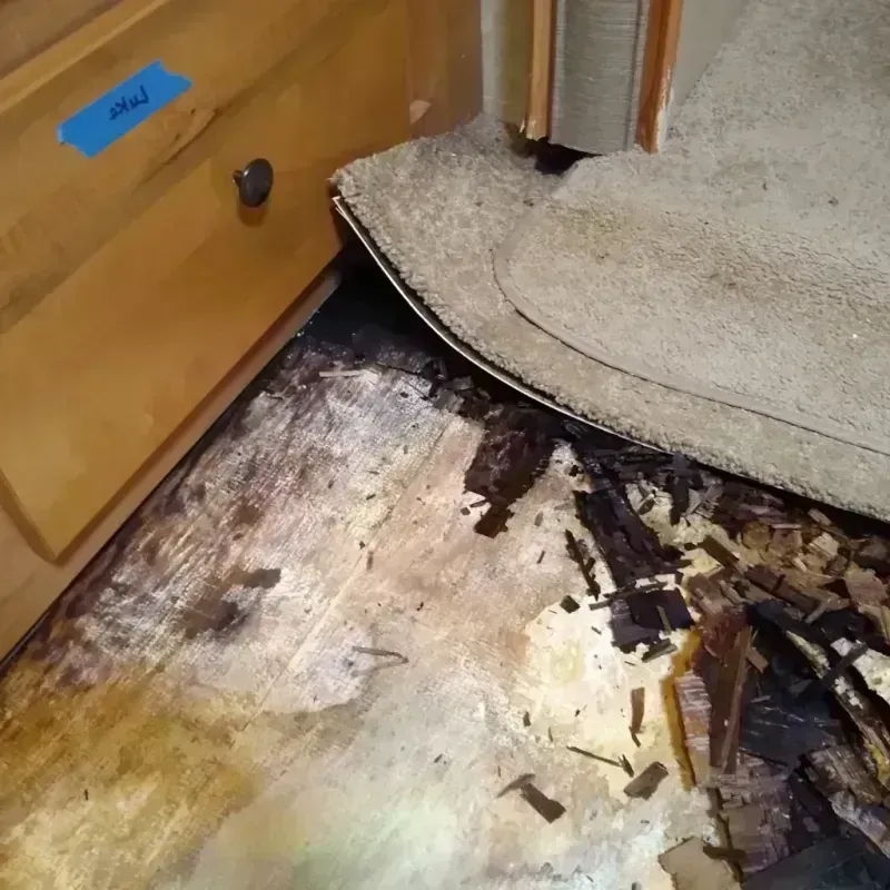 Best Wood Floor Water Damage Service in Lakes by the Bay, FL